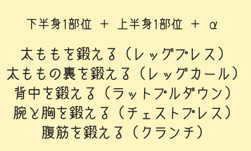 筋トレしながらダイエットしたいジム初心者はこのメニューで痩せよう Muscle Lab